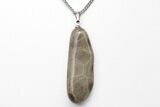Polished Petoskey Stone (Fossil Coral) Necklaces - Michigan - Photo 3